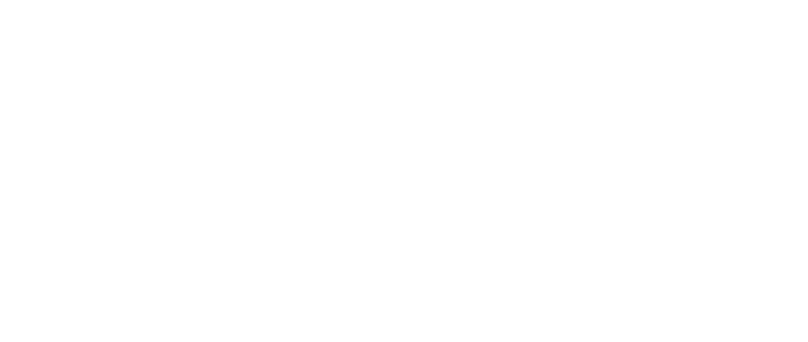 Imagotipo Zexel Pay horizontal en color blanco